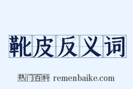 靴皮反义词是什么意思的图片